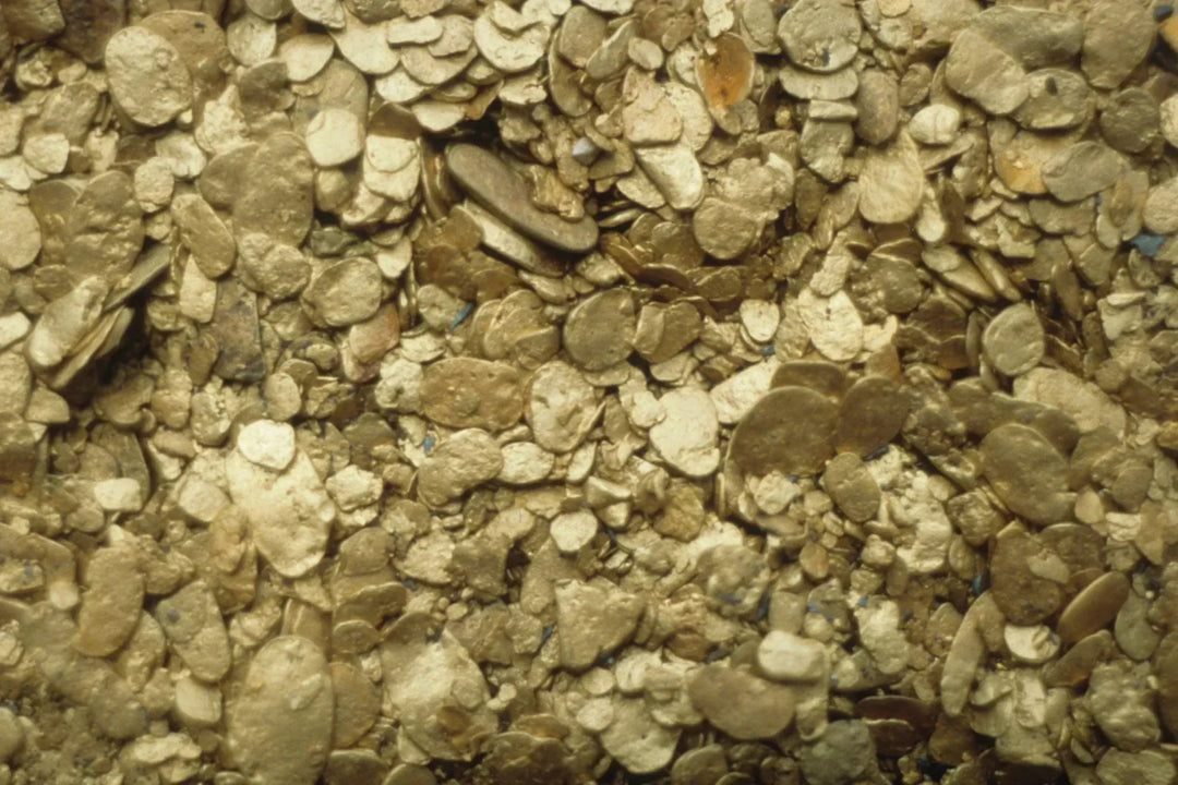 In quale forma si dovrebbe acquistare l'oro?