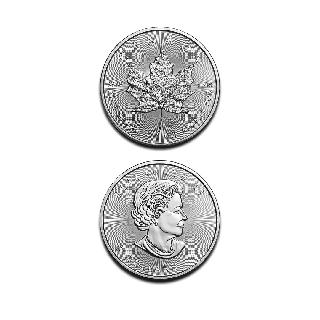 Moneta Maple Leaf da 1 oncia in argento – Collezione numismatica