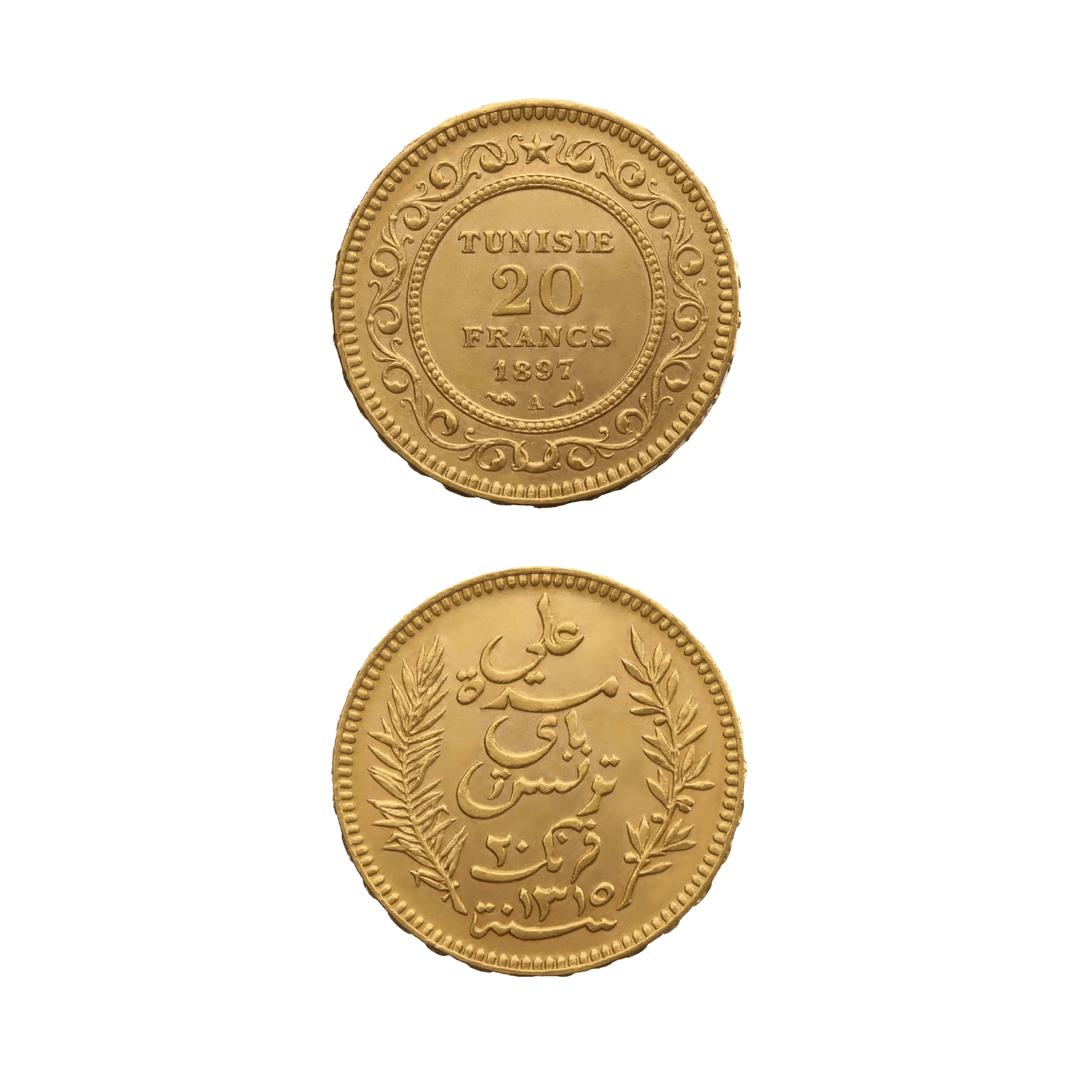 Moneta da 20 franci tunisini – Tesoro numismatico