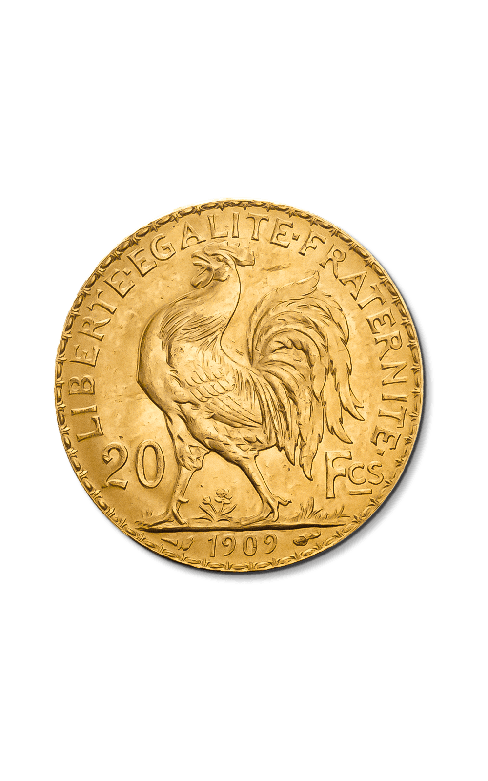 Pièce Louis d'Or - 20 Francs Or - GoldUnion