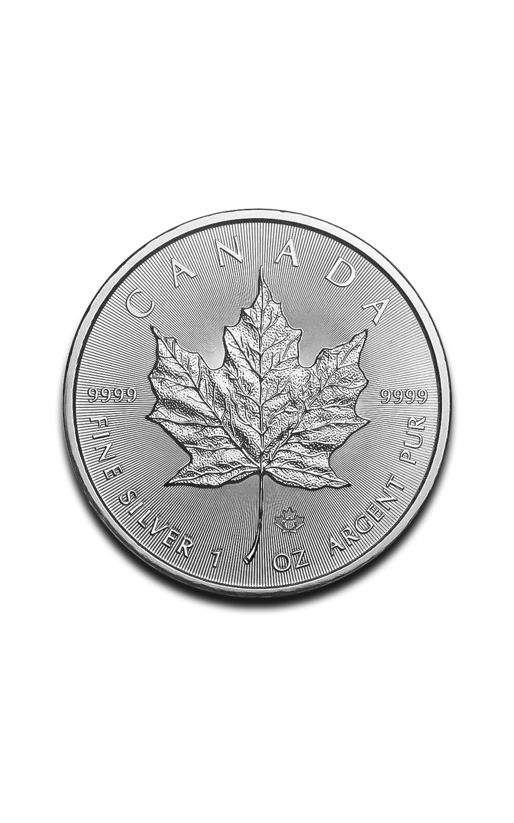 Moneta Maple Leaf da 1 oncia in argento