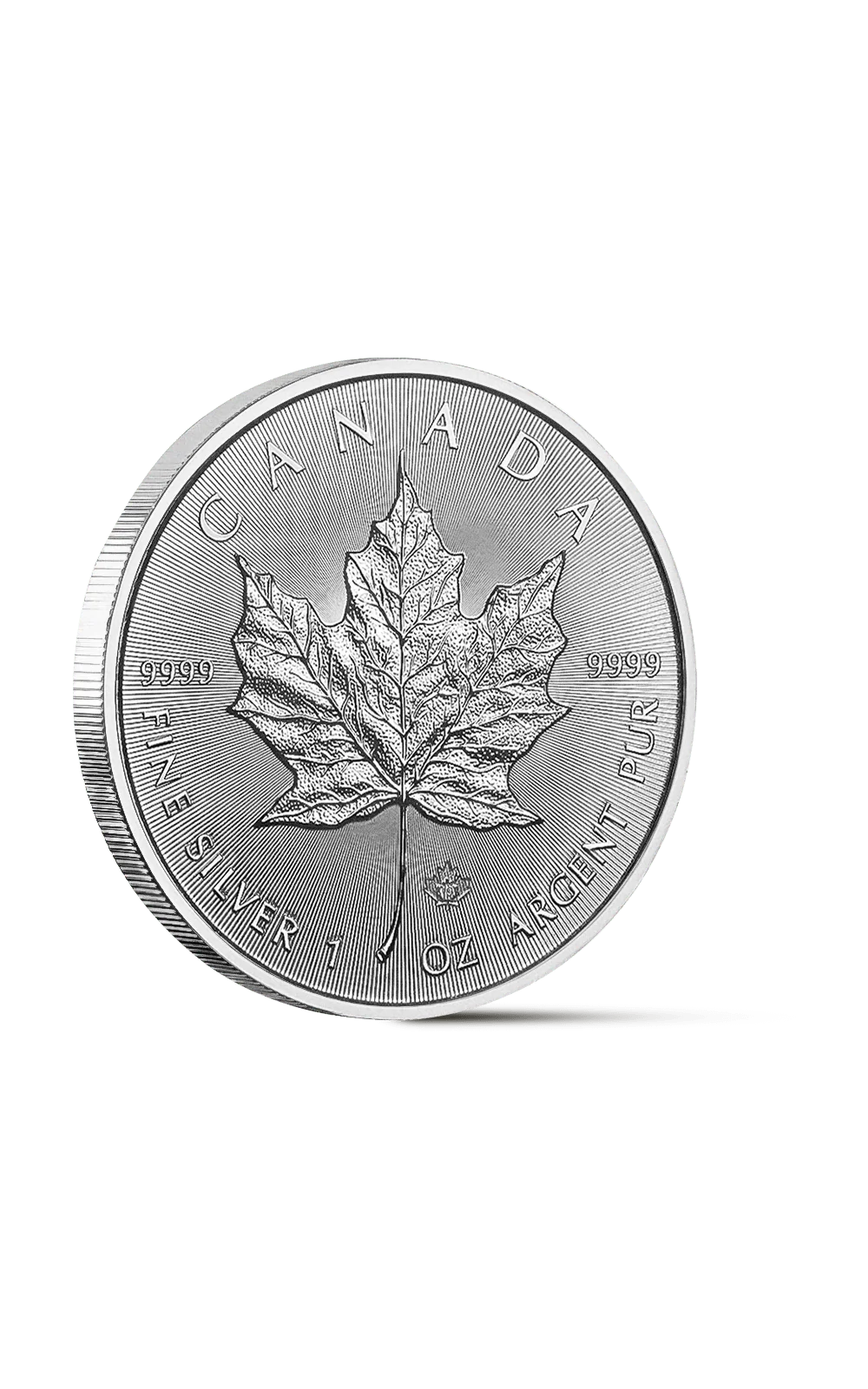 Moneta Maple Leaf da 1 oncia in argento