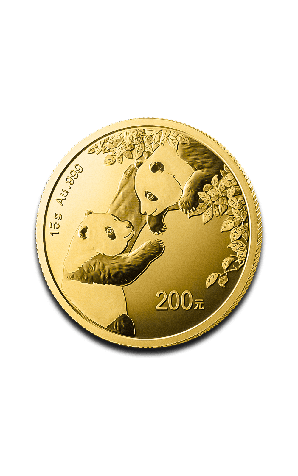 Pièce Panda 15g Or - GoldUnion