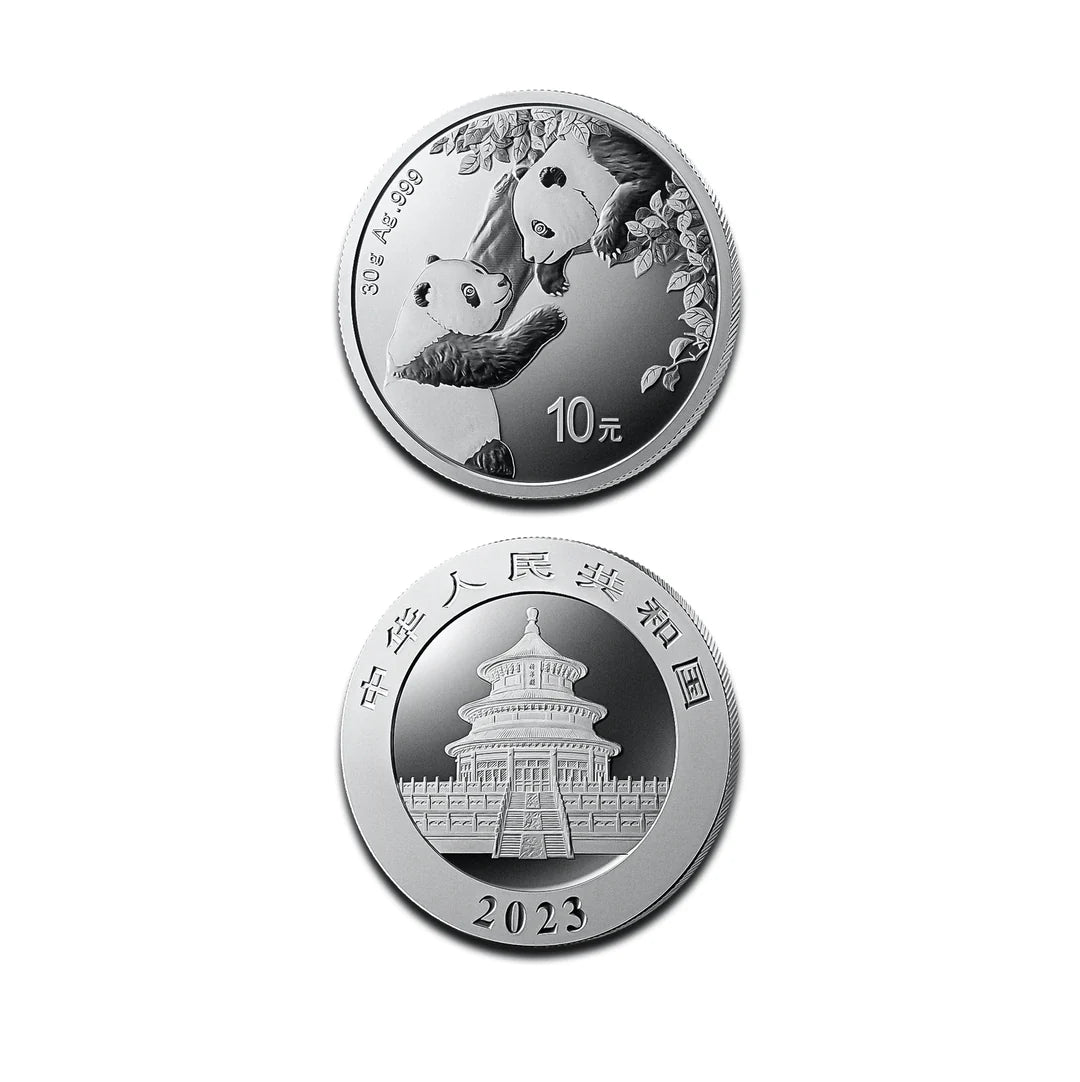 Moneta Panda da 30 g in argento – Edizione da collezione della Zecca cinese